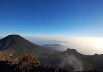 mount gede pangrango volcanoes