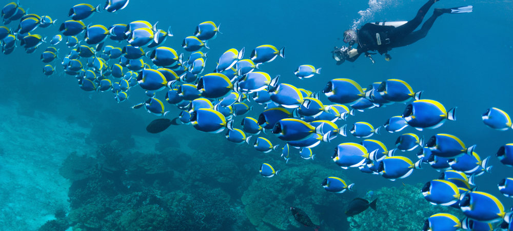 diving bali