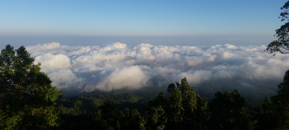 trekking bali